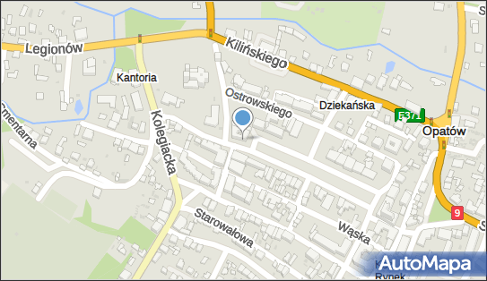 8631005258, Firma Handlowa 