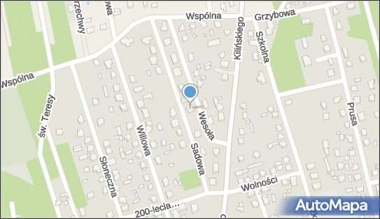 8222028262, Firma Handlowa 