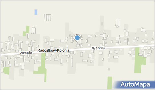 Firma Handlowa Piotr Blady, Wesoła 117, Radostków-Kolonia 42-233 - Przedsiębiorstwo, Firma, NIP: 5732810528