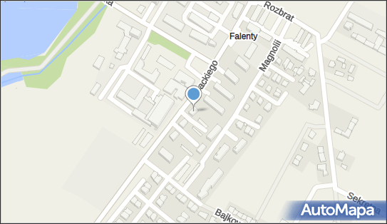 Firma Handlowa Suzi, ul. Zygmunta Opackiego 34, Falenty 05-090 - Przedsiębiorstwo, Firma, NIP: 5221008296