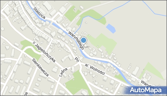 6111965838, Firma Handlowa Aneta Wielgus 