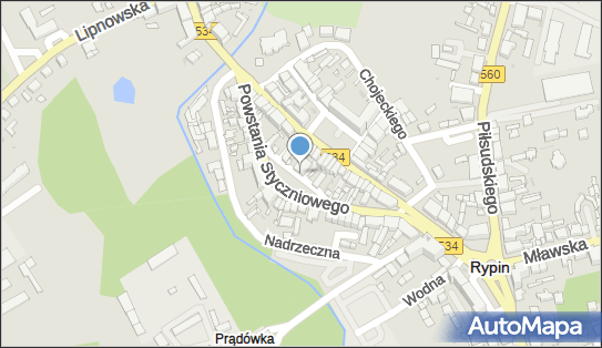 Firma Handlowa, ul. Powstania Styczniowego 13, Rypin 87-500 - Przedsiębiorstwo, Firma, numer telefonu, NIP: 8920000095