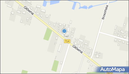 Firma Handlowa, Główna 50, Wola Rakowa 95-006 - Przedsiębiorstwo, Firma, NIP: 7281034720