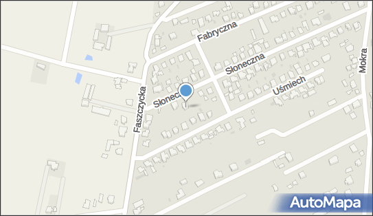 5291462020, Firma Handlowa Szajniuk Krystyna 