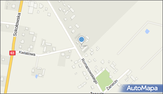 Firma Handlowa, ul. kmdr. Romanowskiego 19, Sokołów Podlaski 08-300 - Przedsiębiorstwo, Firma, NIP: 8231176312