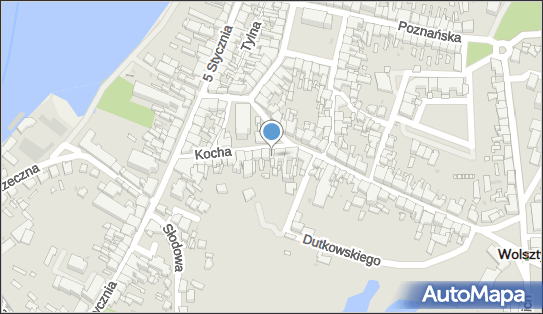 Firma Handlowa, Kocha, dr. 23, Wolsztyn 64-200 - Przedsiębiorstwo, Firma, NIP: 9231167880
