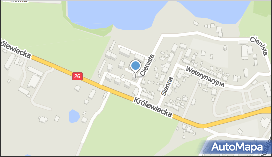 Firma Handlowa, os. XX-lecia PRL 7, Myślibórz 74-300 - Przedsiębiorstwo, Firma, NIP: 5971047372