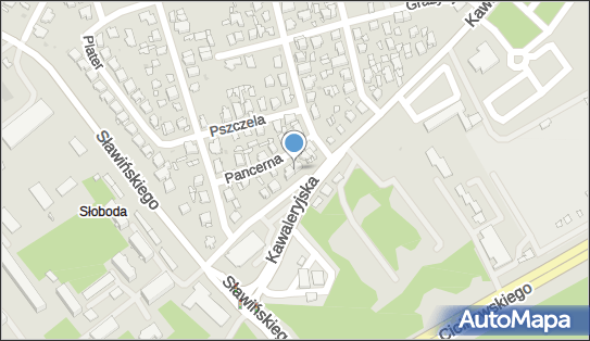 5421025543, Firma Handlowo Usługowa Agnieszka Dobrodumow 