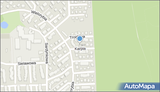 Firma Handlowo-Usługowa Aneta Szparaga, ul. Karpia 1, Bydgoszcz 85-435 - Przedsiębiorstwo, Firma, NIP: 9671043515