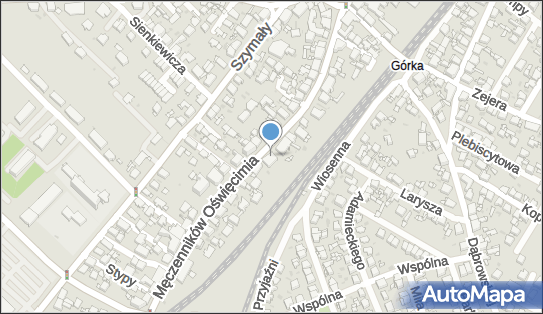 6260336438, Firma Handlowo-Usługowa Aniela Tyrasek 