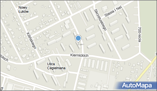 8251142888, Anna Nowicka Firma Handlowo-Usługowa 