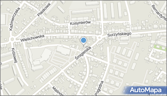 Firma Handlowo Usługowa Arizona, Śmigielska 8, Kościan 64-000 - Przedsiębiorstwo, Firma, NIP: 6981407795