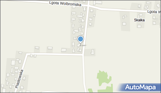 241215426, Firma Handlowo - Usługowa 