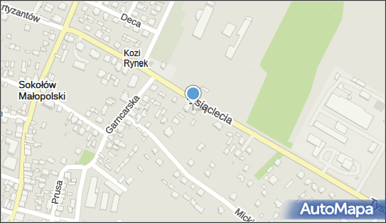 Firma Handlowo - Usługowa D w O R E K - Kozioł Stanisław 36-050 - Przedsiębiorstwo, Firma, NIP: 8141018354