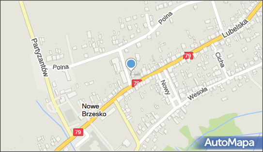 Firma Handlowo Usługowa Dailo, Targowa 1, Nowe Brzesko 32-120 - Przedsiębiorstwo, Firma, NIP: 6821035221