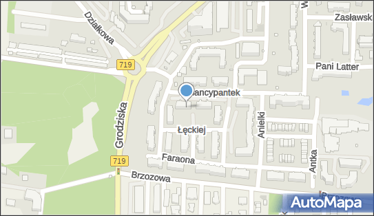5341960301, Firma Handlowo-Usługowa Dama Urszula Amatulli 