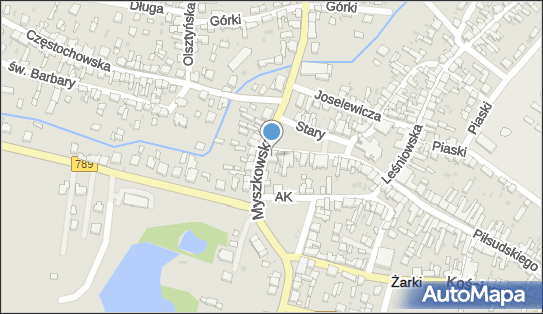 Firma Handlowo-Usługowa Edyg Edyta Gocyła, Stary Rynek 39, Żarki 42-310 - Przedsiębiorstwo, Firma, NIP: 5771207842