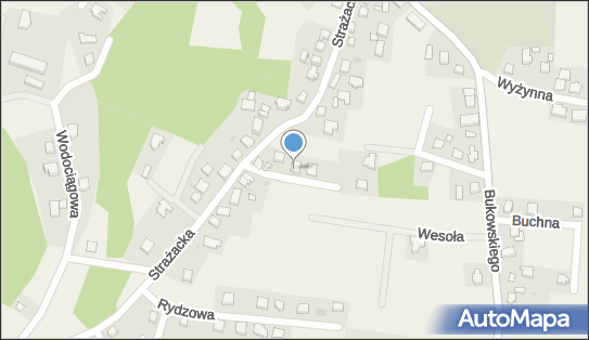 5841761852, Firma Handlowo-Usługowa 