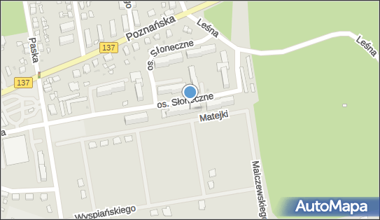 4290036562, Firma Handlowo - Usługowa Gronowski Wojciech 