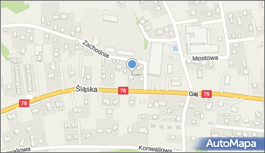 Firma Handlowo Usługowa Halmed Halina Kasprzyk, Zachodnia 3A 32-080 - Przedsiębiorstwo, Firma, NIP: 6781667505