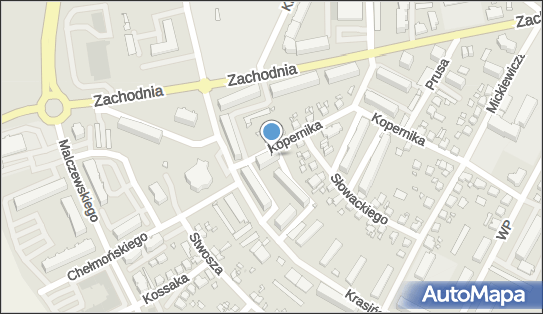210145411, Firma Handlowo-Usługowa 