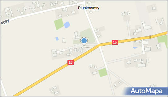 Firma Handlowo Usługowa Jaguś Jaguś Katarzyna, Pluskowęsy 50B 87-410 - Przedsiębiorstwo, Firma, NIP: 8781537465