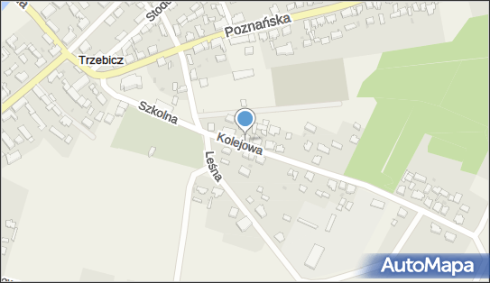 Firma Handlowo-Usługowa Jarosław Jenek, Kolejowa 2, Trzebicz 66-530 - Przedsiębiorstwo, Firma, NIP: 5951224859