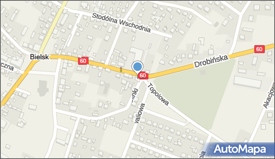 Firma Handlowo Usługowa Kamil Skupiński, Drobińska 12, Bielsk 09-230 - Przedsiębiorstwo, Firma, NIP: 7742907762