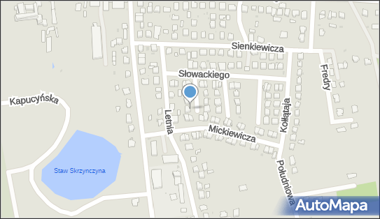 8181244625, Firma Handlowo - Usługowa 