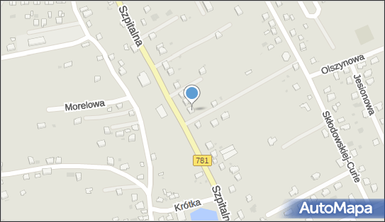 6281006953, Dziuba Dorota, Firma Handlowo-Usługowa 