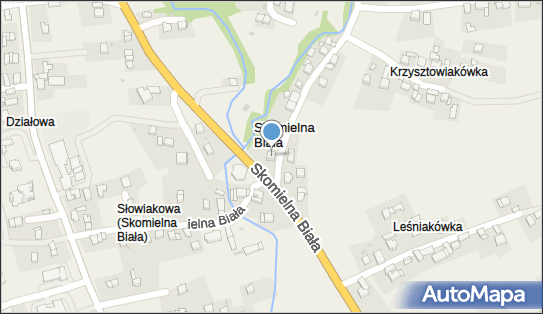 Firma Handlowo-Usługowa Magol Ewa Kraus, Skomielna Biała 557 32-434 - Przedsiębiorstwo, Firma, NIP: 7351228169