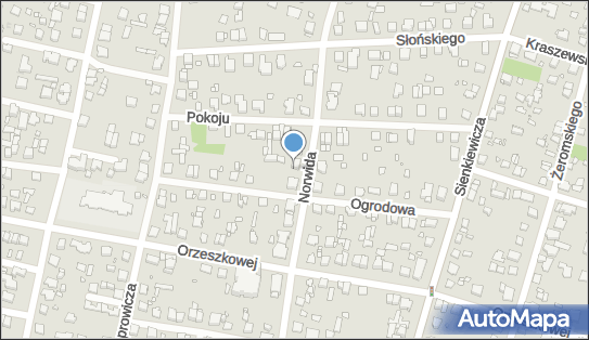 5341023803, Firma Handlowo Usługowa Marzena Rychlicka 
