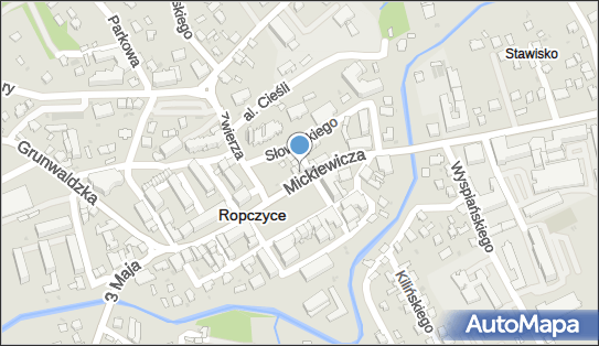 Firma Handlowo Usługowa Michałek, Rynek 12, Ropczyce 39-100 - Przedsiębiorstwo, Firma, NIP: 8181000745