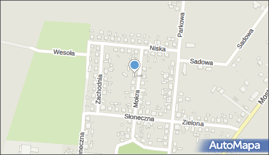 Firma Handlowo Usługowa Nikodem, Mokra 7, Piotrków Kujawski 88-230 - Przedsiębiorstwo, Firma, NIP: 8891077711