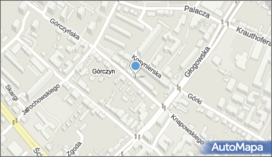 Firma Handlowo Usługowa P&ampG Global, Górczyńska 12a, Poznań 60-132 - Przedsiębiorstwo, Firma, NIP: 7811075610