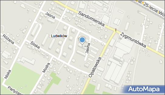 6612055886, Firma Handlowo-Usługowa Pink Panter Iwona Wróblewska 