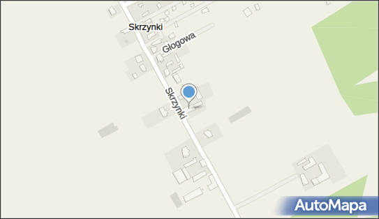 Firma Handlowo-Usługowa POL-Speed Paweł Witkowski, Skrzynki 23 87-820 - Przedsiębiorstwo, Firma, NIP: 8882785124
