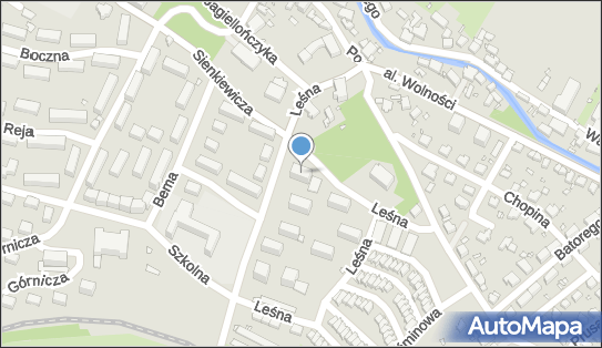 6111385638, Firma Handlowo - Usługowa 