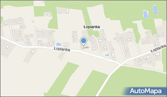 Firma Handlowo - Usługowa Rado- Radosław Januszewski, Łopianka 33 07-130 - Przedsiębiorstwo, Firma, NIP: 8241542480