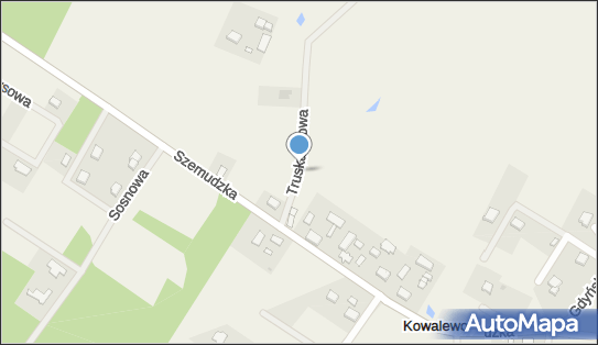 Firma Handlowo Usługowa Tom Pol, ul. Truskawkowa 1, Kowalewo 84-208 - Przedsiębiorstwo, Firma