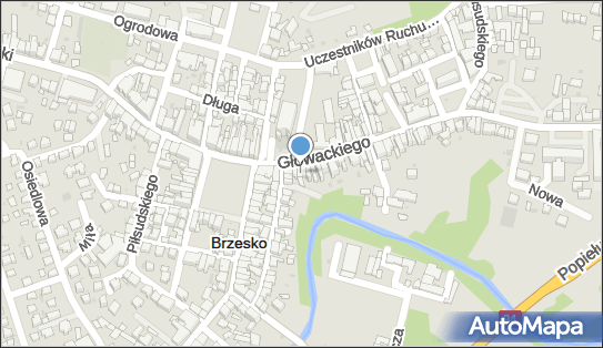 Firma Handlowo Usługowa True, ul. Bartosza Głowackiego 5, Brzesko 32-800 - Przedsiębiorstwo, Firma, NIP: 8691702191
