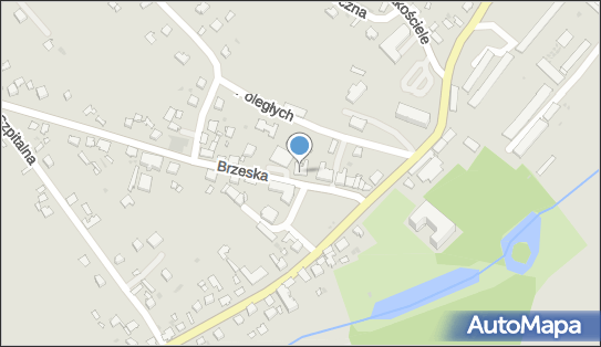 8731223121, Firma Handlowo - Usługowa 