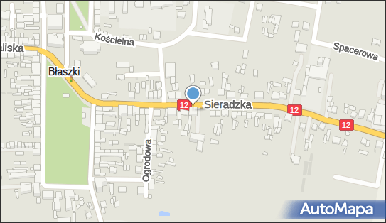 6181166255, Firma Handlowo-Usługowa 