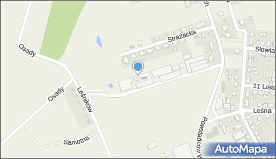 6971242571, Firma Handlowo-Usługowa Teresa Świętek, Włoszakowice 