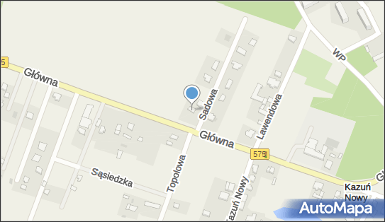 Firma Handlowo-Usługowa Zbigniew Godlewski, Główna 20 05-152 - Przedsiębiorstwo, Firma, NIP: 5311327473