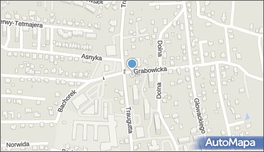Firma Handlowo Usługowadomino Ewa Miszuta, Czechowice-Dziedzice 43-502 - Przedsiębiorstwo, Firma, NIP: 6521005345