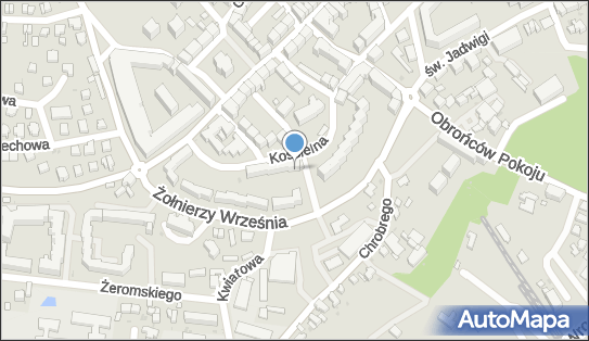 Firma Handlowo Usługowa, Kościelna 47, Trzebnica 55-100 - Przedsiębiorstwo, Firma, NIP: 9151204805