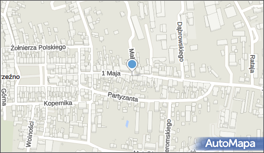 Firma Handlowo Usługowa, 1 Maja 24, Wąbrzeźno 87-200 - Przedsiębiorstwo, Firma, NIP: 8781076656