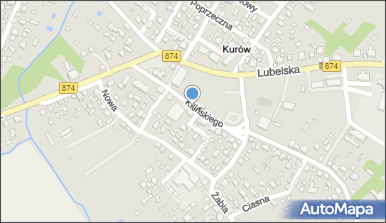 Firma Handlowo Usługowa, ul. Jana Kilińskiego 10, Kurów 24-170 - Przedsiębiorstwo, Firma, NIP: 7161700143