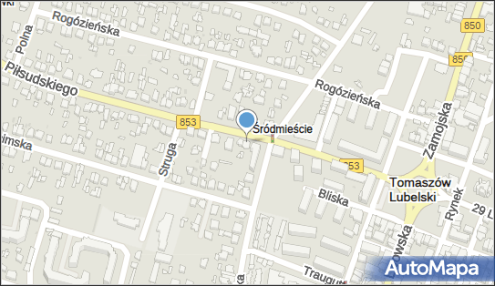 Firma Handlowo Usługowa, ul. Józefa Piłsudskiego 13 22-600 - Przedsiębiorstwo, Firma, NIP: 9211033107
